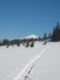Stopy vedou na Schneeberg (jakoby), mezi nma je vak jet Holental