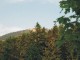 Tlst, 1373 m n.m.