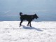 Tom na svm oblbenm mst