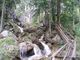 Barenschutzklamm.....